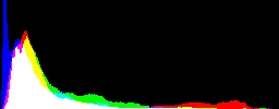 Histogram