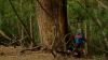 Søren Larsen (Denmark) behind huge trees at De Laveaga Disc Golf Course, Santa Cruz, California